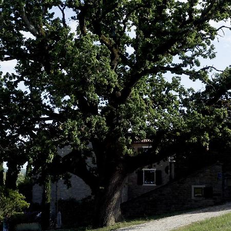 Apartamento L'abbraccio della quercia Momjan Exterior foto
